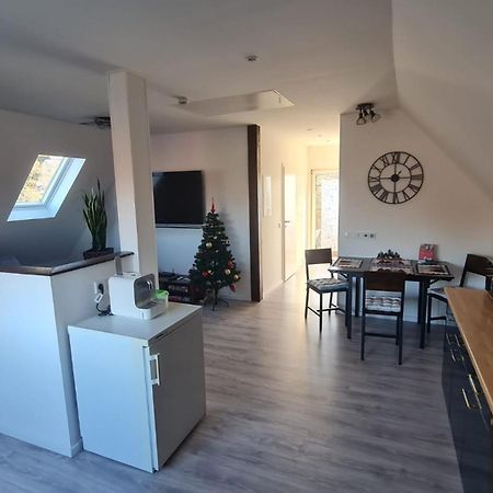 Ferienwohnung Richter Pirna Bagian luar foto